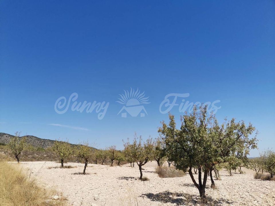 Helårsgrund i Raspay, Murcia - foto 4